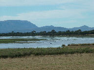 Brady Swamp 29012011